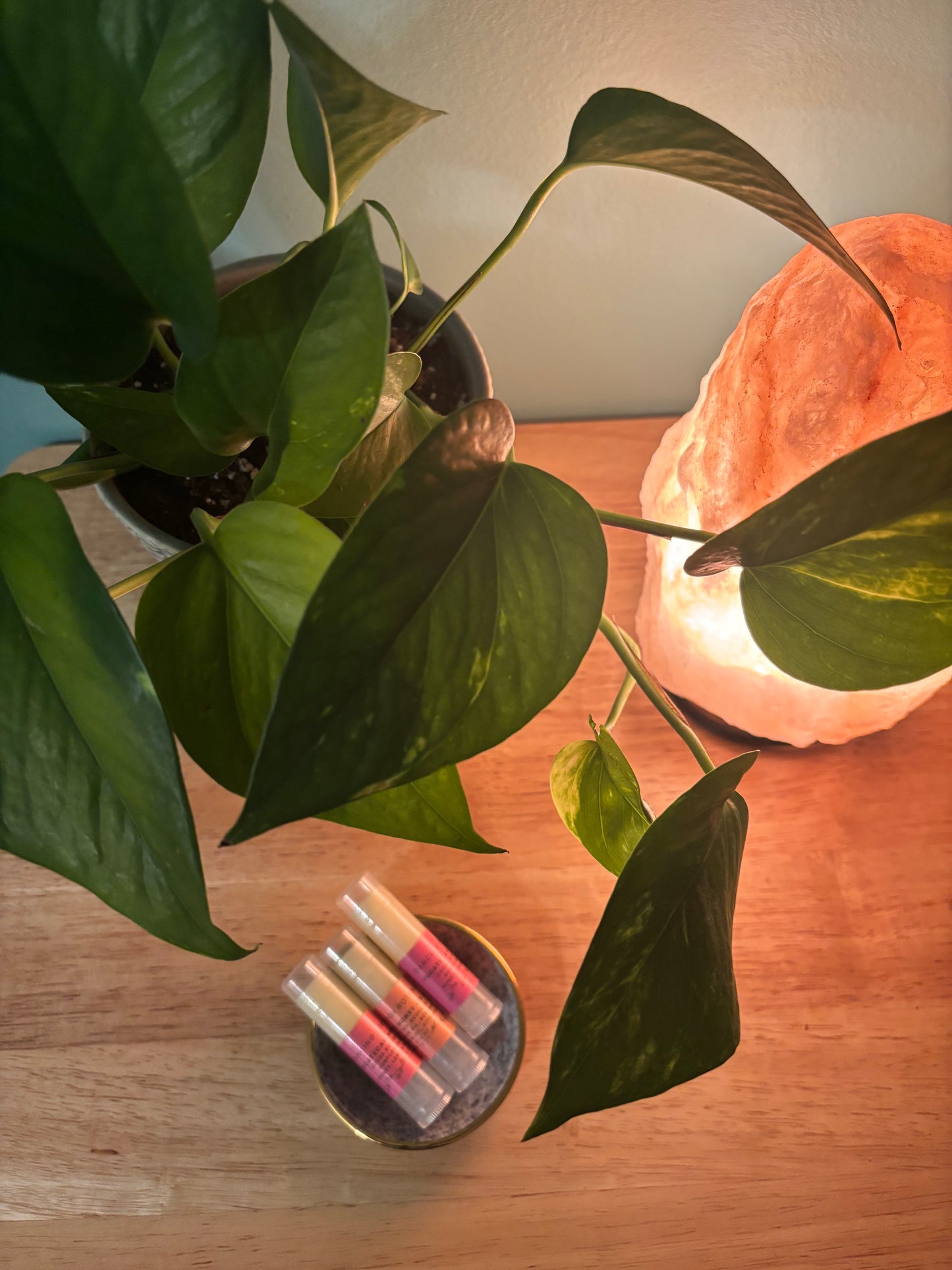 Yucatecan Honey Lip Balm